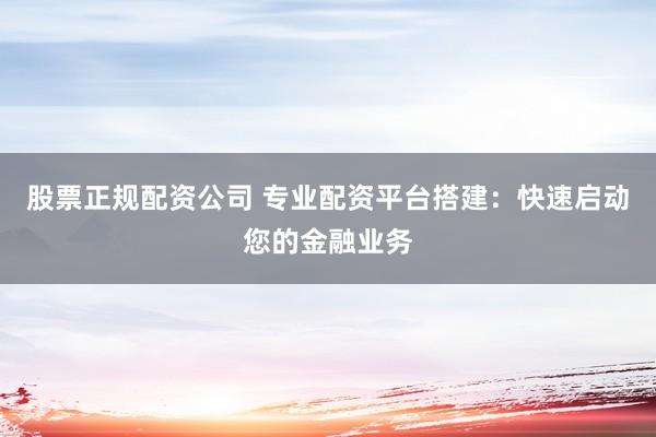 股票正规配资公司 专业配资平台搭建：快速启动您的金融业务
