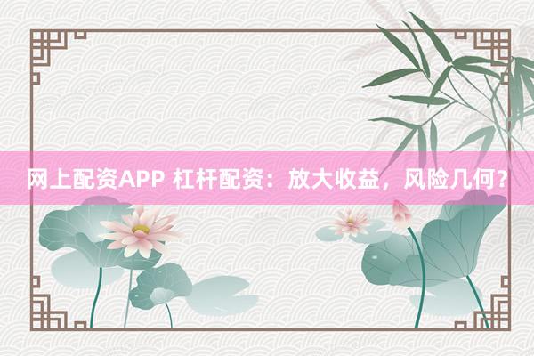 网上配资APP 杠杆配资：放大收益，风险几何？