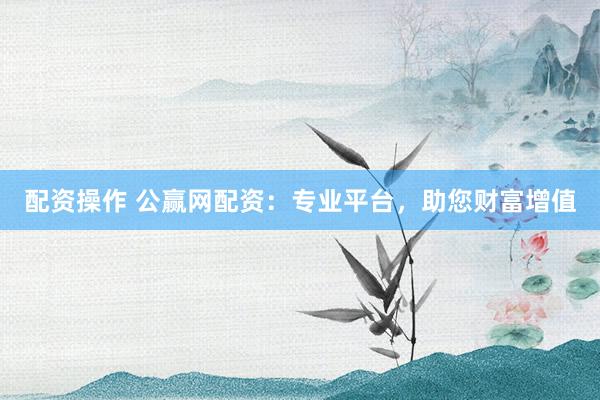 配资操作 公赢网配资：专业平台，助您财富增值