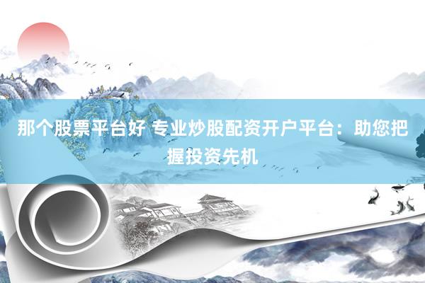 那个股票平台好 专业炒股配资开户平台：助您把握投资先机