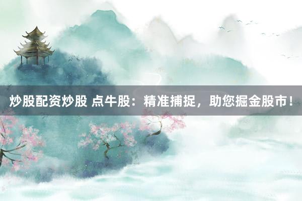 炒股配资炒股 点牛股：精准捕捉，助您掘金股市！