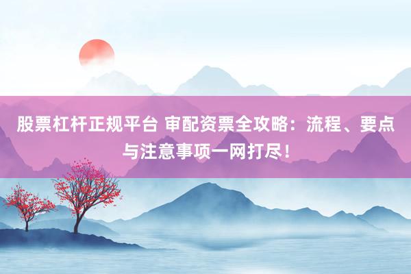 股票杠杆正规平台 审配资票全攻略：流程、要点与注意事项一网打尽！