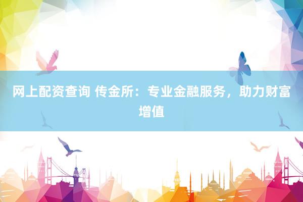 网上配资查询 传金所：专业金融服务，助力财富增值