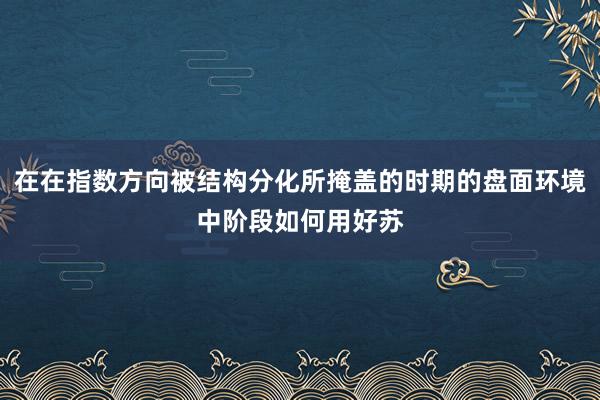 在在指数方向被结构分化所掩盖的时期的盘面环境中阶段如何用好苏