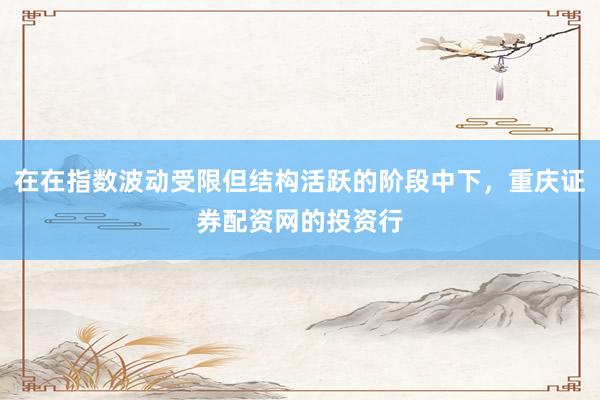 在在指数波动受限但结构活跃的阶段中下,重庆证券配资网的投资行