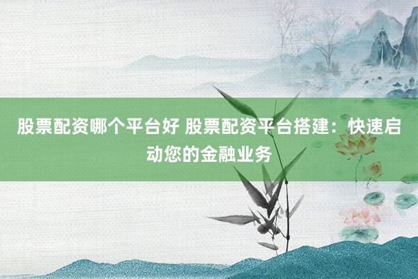 股票配资哪个平台好 股票配资平台搭建：快速启动您的金融业务