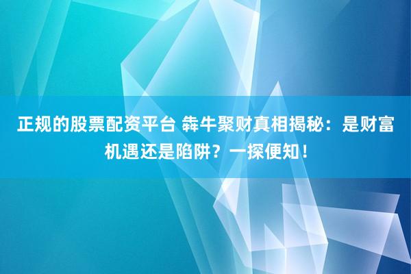 正规的股票配资平台 犇牛聚财真相揭秘：是财富机遇还是陷阱？一探便知！