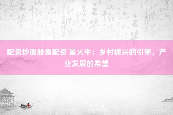 配资炒股股票配资 星火牛:乡村振兴的引擎,产业发展的希望